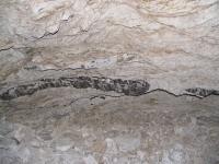 Albums/20060200-New Zealand 2006/20060318-Kaikiura/82